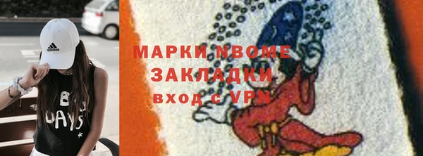 мдпв Ладушкин