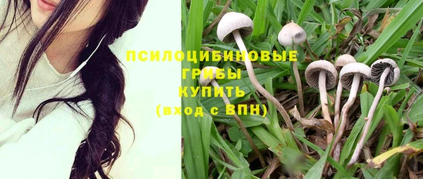 мдпв Ладушкин