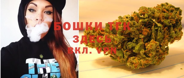 мдпв Ладушкин